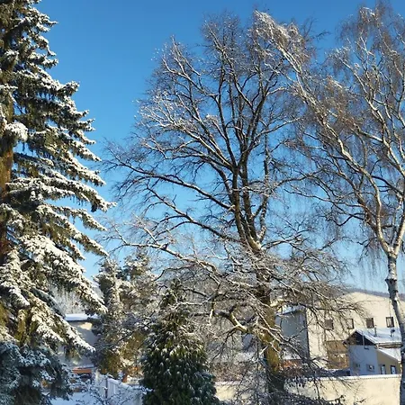 Bluestars Lägenhet Karlovy Vary